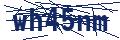 Dash Inspectorate