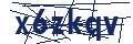 Dash Inspectorate