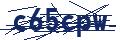 Dash Inspectorate
