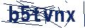Dash Inspectorate
