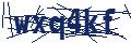 Dash Inspectorate