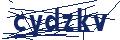 Dash Inspectorate