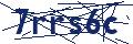 Dash Inspectorate