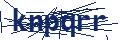 Dash Inspectorate