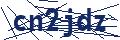 Dash Inspectorate