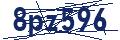 Dash Inspectorate