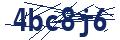 Dash Inspectorate