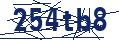 Dash Inspectorate