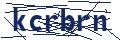 Dash Inspectorate