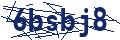 Dash Inspectorate
