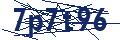 Dash Inspectorate
