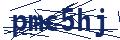 Dash Inspectorate