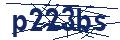 Dash Inspectorate