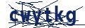 Dash Inspectorate
