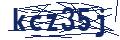 Dash Inspectorate