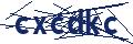 Dash Inspectorate