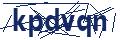 Dash Inspectorate