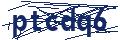 Dash Inspectorate