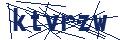 Dash Inspectorate