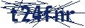 Dash Inspectorate