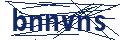 Dash Inspectorate