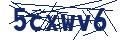 Dash Inspectorate