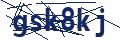 Dash Inspectorate