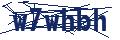 Dash Inspectorate
