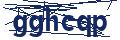 Dash Inspectorate