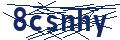 Dash Inspectorate
