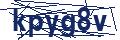 Dash Inspectorate
