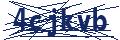 Dash Inspectorate