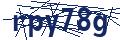 Dash Inspectorate