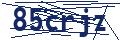 Dash Inspectorate