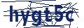 Dash Inspectorate