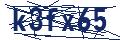 Dash Inspectorate