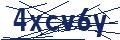 Dash Inspectorate