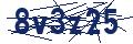 Dash Inspectorate