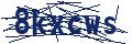 Dash Inspectorate