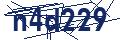 Dash Inspectorate