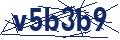 Dash Inspectorate