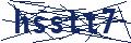 Dash Inspectorate