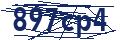 Dash Inspectorate