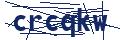 Dash Inspectorate