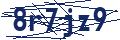 Dash Inspectorate