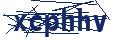 Dash Inspectorate
