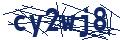 Dash Inspectorate